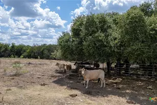 930 Co Rd 200, Burnet, TX 78611 - Photo 21