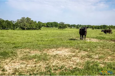 0000 Vilas Rd, Holland, TX 76534 - Photo 15