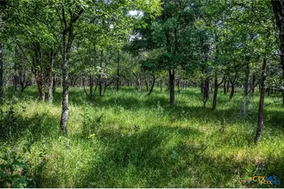 0000 Vilas Rd, Holland, TX 76534 - Photo 11