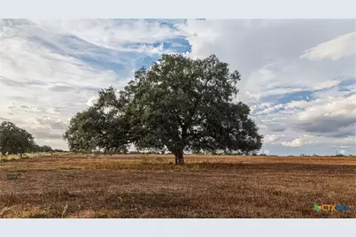 43 Rice Road, Yoakum, TX 77995 - Photo 21