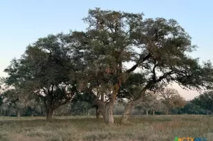 0000 Mission Valley Rd Rd, Cuero, TX 77954 - Photo 11