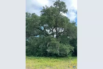 0000 Mission Valley Rd Road, Cuero, TX 77954 - Photo 9