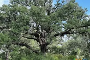 0000 Mission Valley Rd Rd, Cuero, TX 77954 - Photo 9