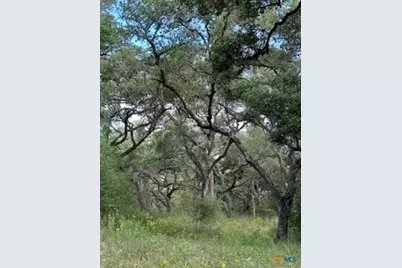 0000 Mission Valley Rd Road, Cuero, TX 77954 - Photo 5