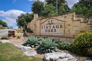 1426 Robusto, New Braunfels, TX 78132 - Photo 47