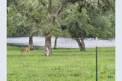 1684 Zengerle Rd, Cuero, TX 77954 - Photo 29