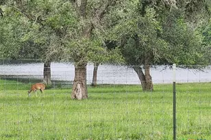 1684 Zengerle Rd, Cuero, TX 77954 - Photo 29
