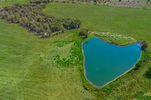 834 County Rd 103, Rogers, TX 76569 - Photo 31