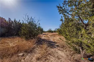 2998 Straws Mill Rd, Gatesville, TX 76528 - Photo 15