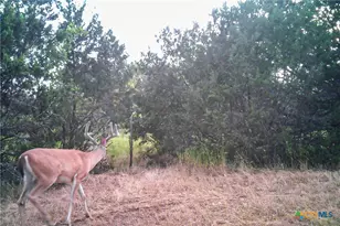 2998 Straws Mill Rd, Gatesville, TX 76528 - Photo 37
