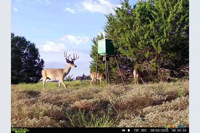 1862 County Road 2600, Lometa, TX 76853 - Photo 27