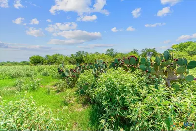 Lot 2 Cr 280, Harwood, TX 78629 - Photo 7