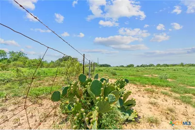 Lot 2 Cr 280, Harwood, TX 78629 - Photo 3