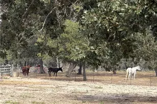 340 Shorthorn Rd, Stockdale, TX 78160 - Photo 17
