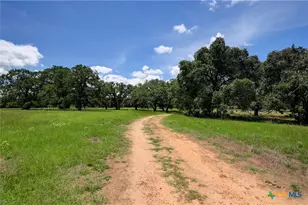 2901 Mule Creek Rd, Harwood, TX 78632 - Photo 19