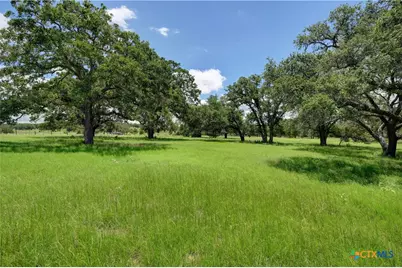 2901 Mule Creek Road, Harwood, TX 78632 - Photo 21