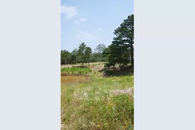 555 Altamira Lane, Dale, TX 78616 - Photo 3