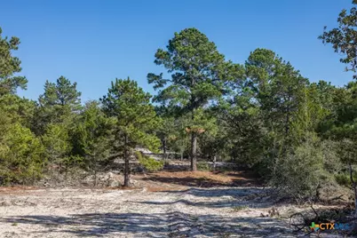 555 Altamira Lane, Dale, TX 78616 - Photo 1
