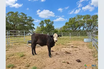 2491 E Fannin Goliad, Goliad, TX 77963 - Photo 23