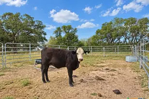 2491 E Fannin St, Goliad, TX 77963 - Photo 23