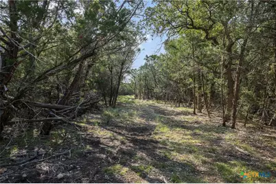 601 Mount Olive School Road, Wimberley, TX 78676 - Photo 17