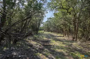 601 Mt Olive School Rd, Wimberley, TX 78676 - Photo 17