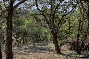 601 Mt Olive School Rd, Wimberley, TX 78676 - Photo 5
