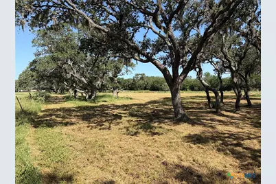 209 Korth Lane, Goliad, TX 77963 - Photo 9