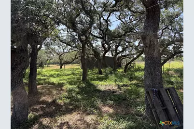 209 Korth Lane, Goliad, TX 77963 - Photo 15