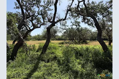 209 Korth Lane, Goliad, TX 77963 - Photo 17