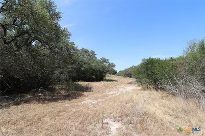 Tbd Danforth Road, Goliad, TX 77963 - Photo 27
