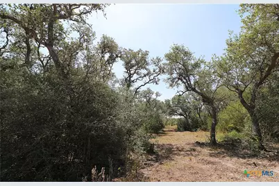 Tbd Danforth Road, Goliad, TX 77963 - Photo 9