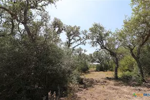 Tbd Danforth Rd, Goliad, TX 77963 - Photo 9
