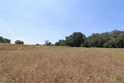 Tbd Danforth Road, Goliad, TX 77963 - Photo 17