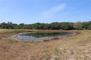 Tbd Danforth Rd, Goliad, TX 77963 - Photo 21