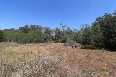 Tbd Danforth Road, Goliad, TX 77963 - Photo 13