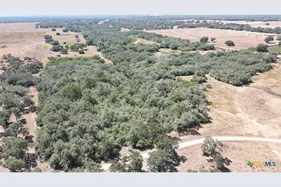 Tbd Danforth Road, Goliad, TX 77963 - Photo 43