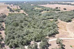 Tbd Danforth Rd, Goliad, TX 77963 - Photo 43