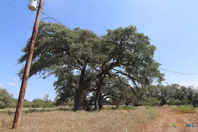 Tbd Danforth Road, Goliad, TX 77963 - Photo 23