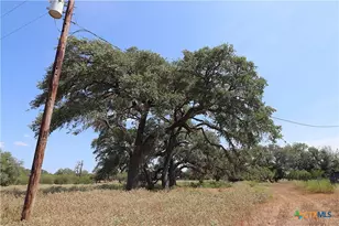 Tbd Danforth Rd, Goliad, TX 77963 - Photo 23