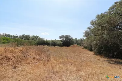 Tbd Danforth Road, Goliad, TX 77963 - Photo 5
