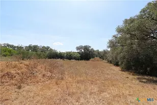 Tbd Danforth Rd, Goliad, TX 77963 - Photo 5