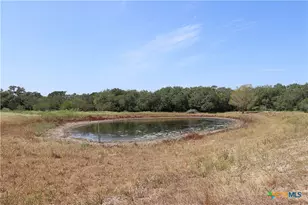 Tbd Danforth Rd, Goliad, TX 77963 - Photo 19