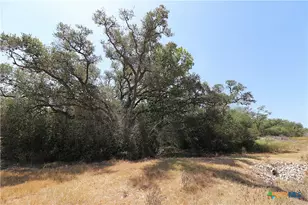 Tbd Danforth Rd, Goliad, TX 77963 - Photo 7
