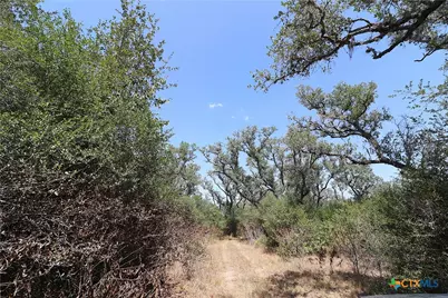 Tbd Danforth Road, Goliad, TX 77963 - Photo 29
