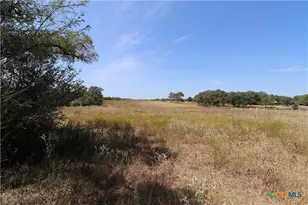Tbd Danforth Rd, Goliad, TX 77963 - Photo 3