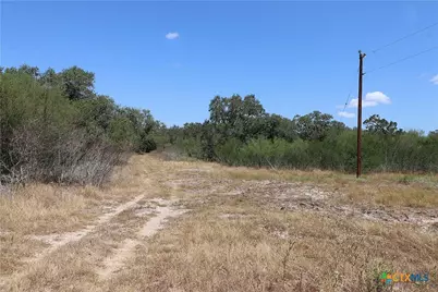 Tbd Danforth Road, Goliad, TX 77963 - Photo 15