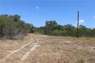Tbd Danforth Rd, Goliad, TX 77963 - Photo 15