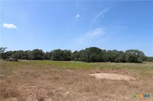 Tbd Danforth Rd, Goliad, TX 77963 - Photo 25