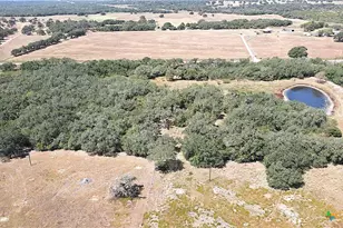 Tbd Danforth Rd, Goliad, TX 77963 - Photo 41
